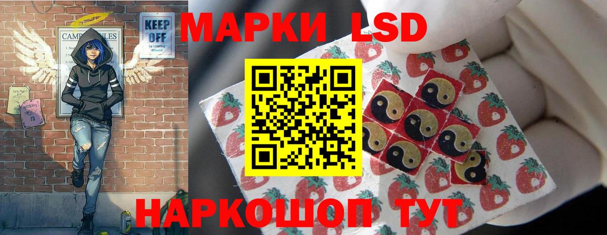 МЕФ Петропавловск-Камчатский