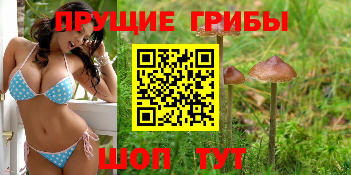 Петропавловск-Камчатский  Псилоцибиновые грибы Cubensis  Галлюциногенные грибы MAGIC MUSHROOMS  Вход с VPN 